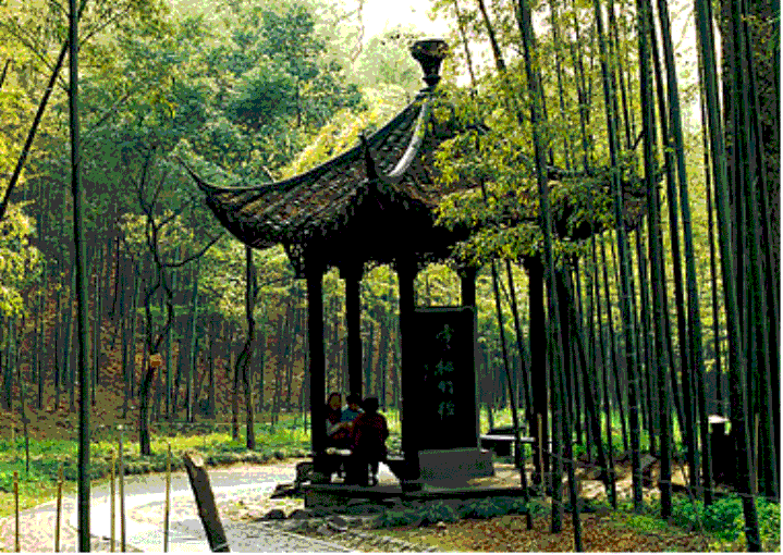 云顶国际yd